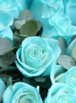 25-tiffany-roses-bouquet-flowers-in-belek-1.webp