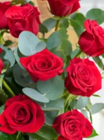 DSC01309_b4ae2210-6d55-4ba5-8523-35b2bd86ce20_1200x.webp